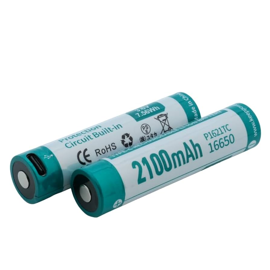 ha9100802ページ 16650-battery-case-